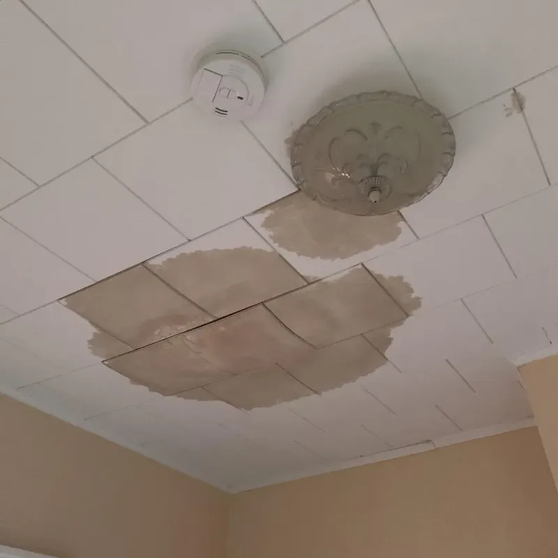 Ceiling Water Damage Repair in Fauquier County, VA