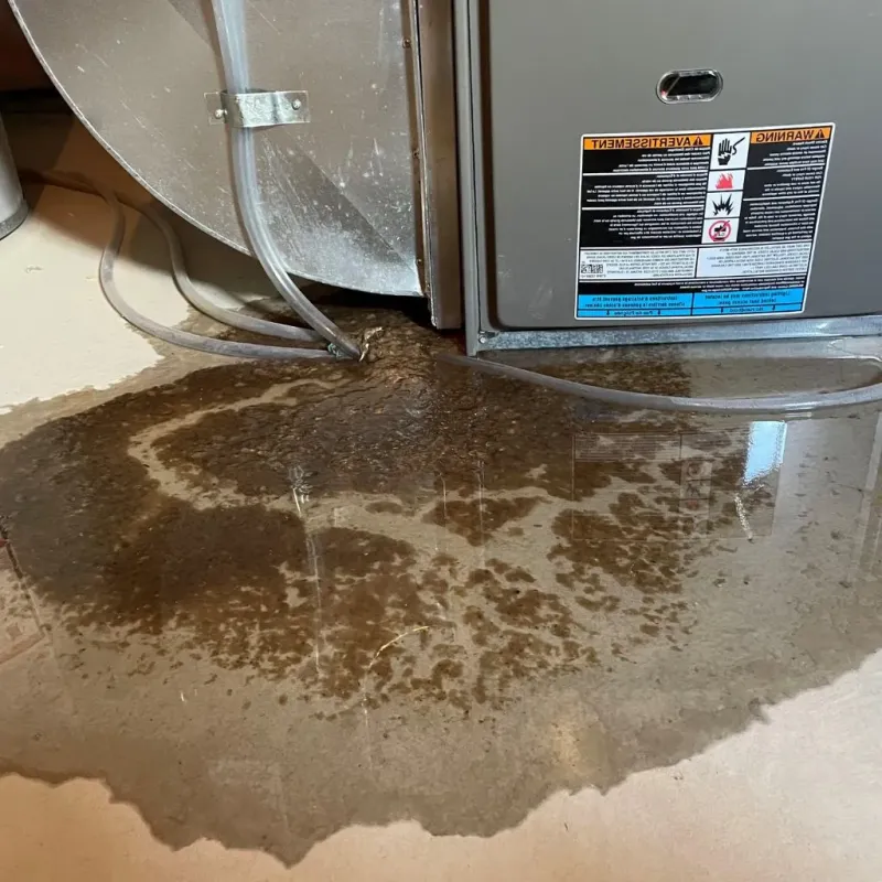 Pipe Burst and Leak Restoration in Fauquier County, VA