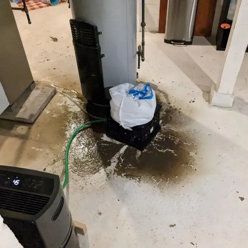 Sewage Backup Cleanup Service in Fauquier County, VA